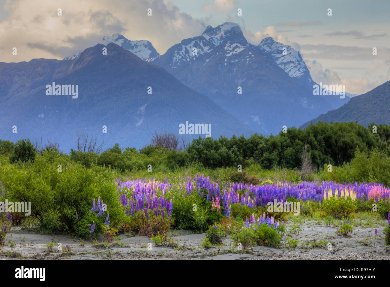 Glenorchy, Lake Wakatipu und Otaga, Südinsel, Neuseeland Stockfoto