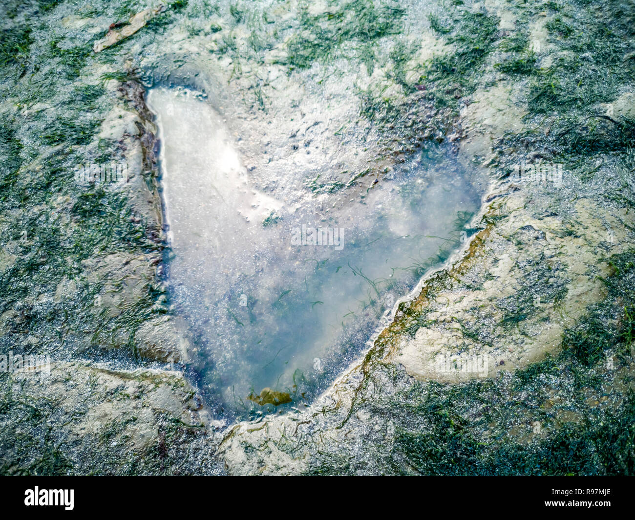Die berühmten Fußabdrücke von Dinosauriern zu einem corran Strand von staffin auf die Isle of Skye - Schottland Stockfoto