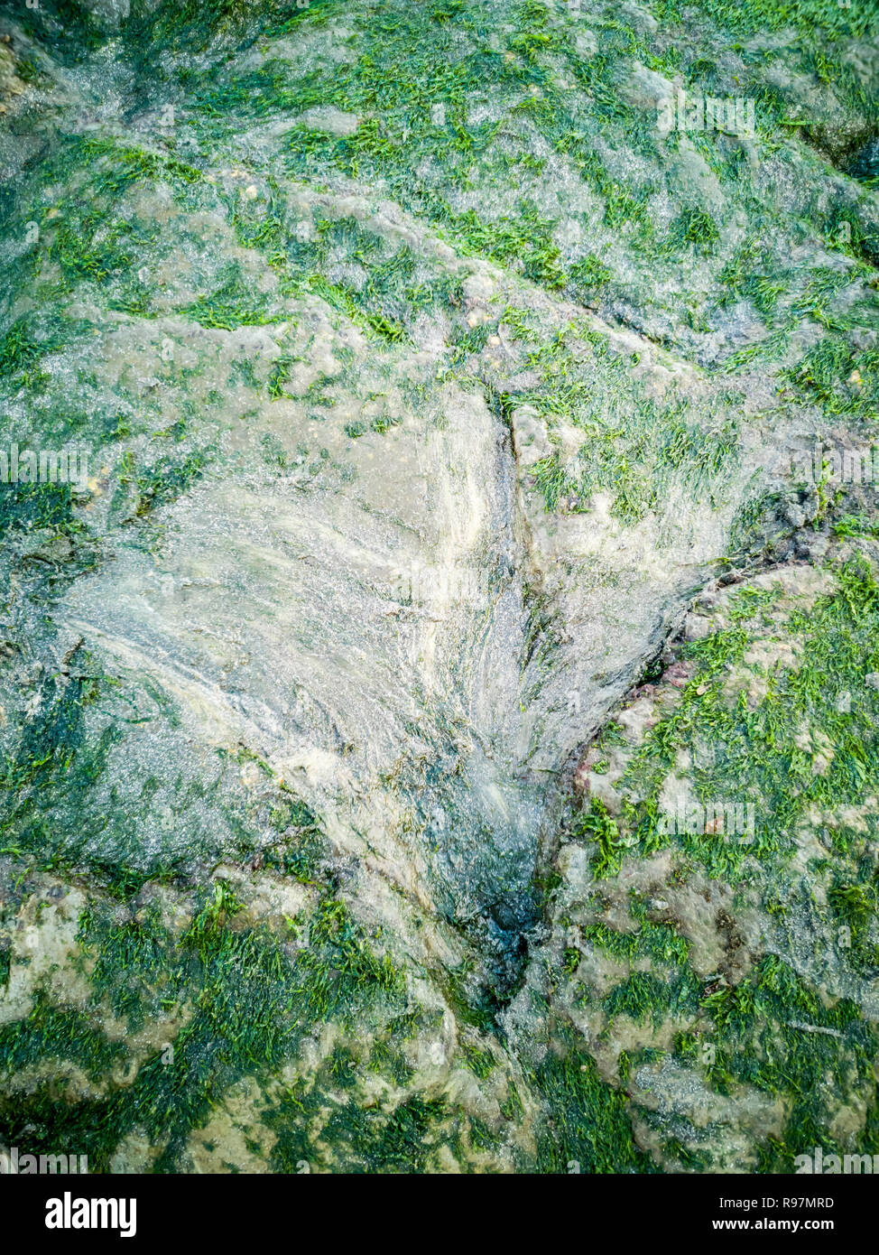 Die berühmten Fußabdrücke von Dinosauriern zu einem corran Strand von staffin auf die Isle of Skye - Schottland Stockfoto