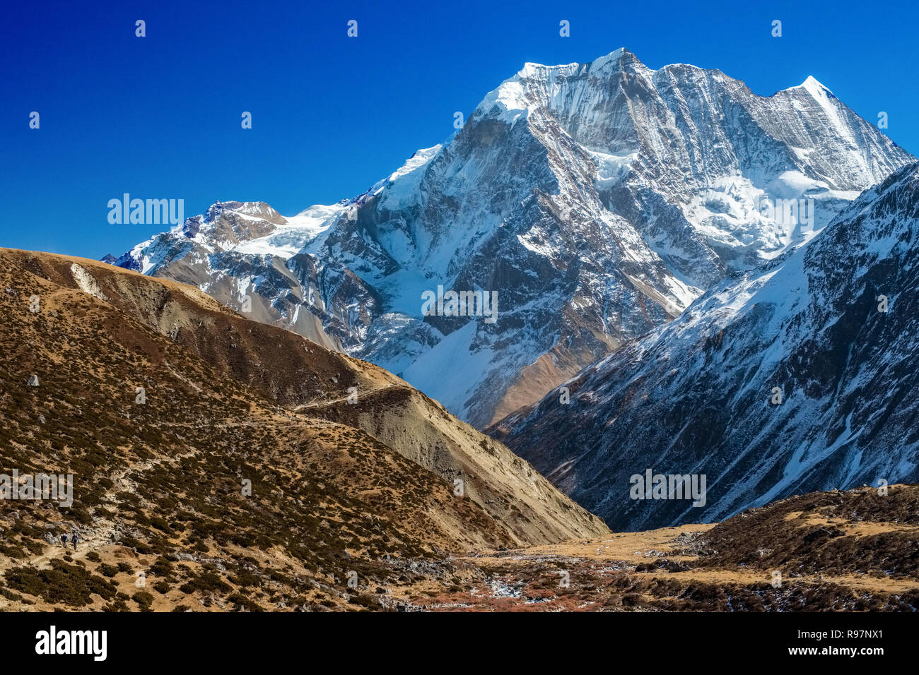 Der Weg von Samdo nach Dharamsala und der Larkya La auf der Manaslu Circuit trek, Nepal Himalaya Stockfoto