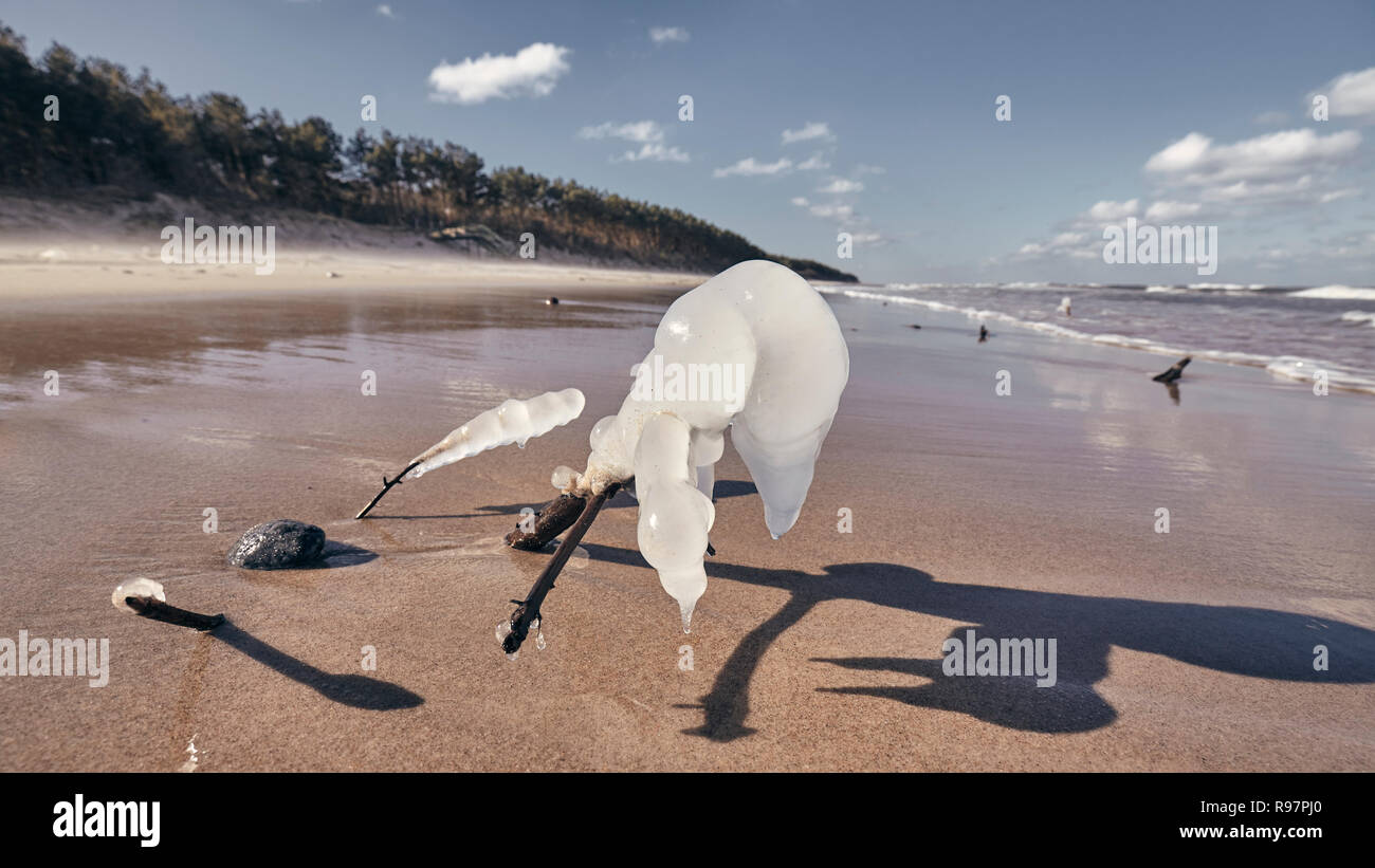 Strand mit Eiszapfen hängen von Zweigen, selektiver Fokus, Farbe Tonen angewendet. Stockfoto