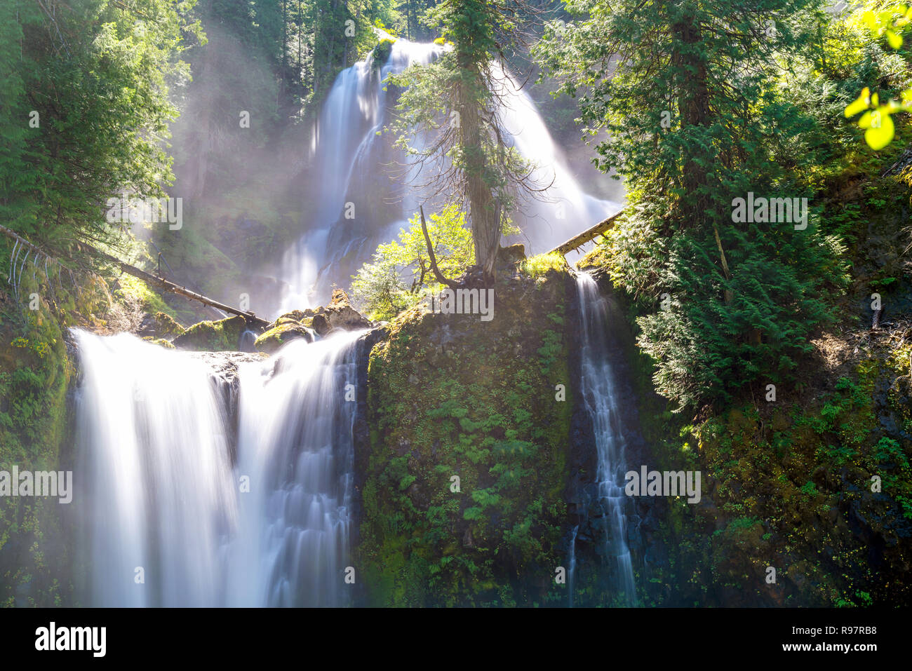 Sonnenstrahlen glänzen auf mehrstufigen Wasserfall - Natur, Falls Creek Falls, Washington, im pazifischen Nordwesten. Stockfoto
