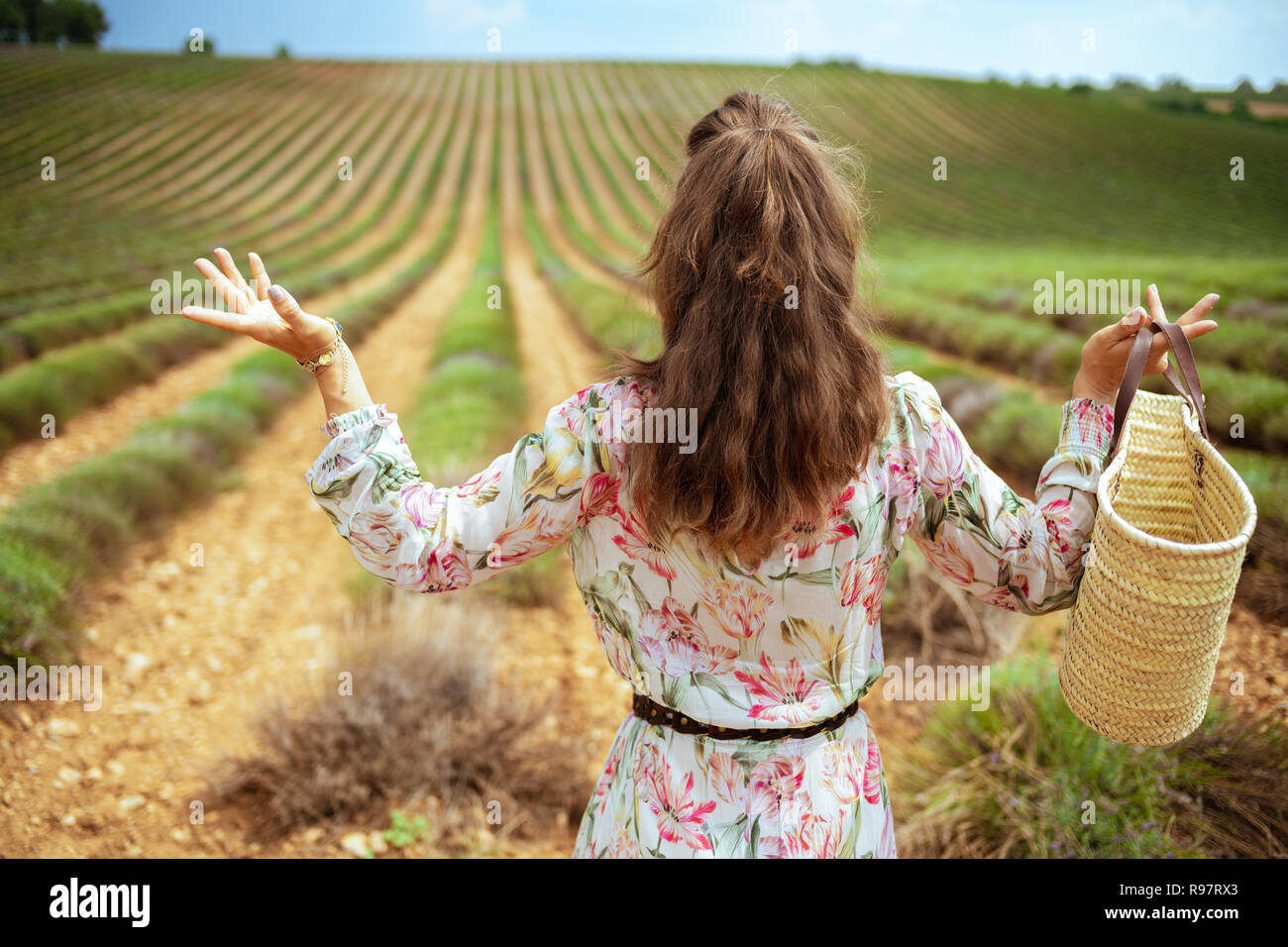 Stilvolle Frau am grünen Feld in der Provence, Frankreich die Blüte der Lavendel verpasst. ihren Urlaub in voraus planen. Bereits geernteten Lavendel kann Ruine Stockfoto Stilvolle Frau am grünen Feld in der Provence, Frankreich die Blüte der Lavendel verpasst. ihren Urlaub in voraus planen. Bereits geernteten Lavendel kann Ruine Stockfoto