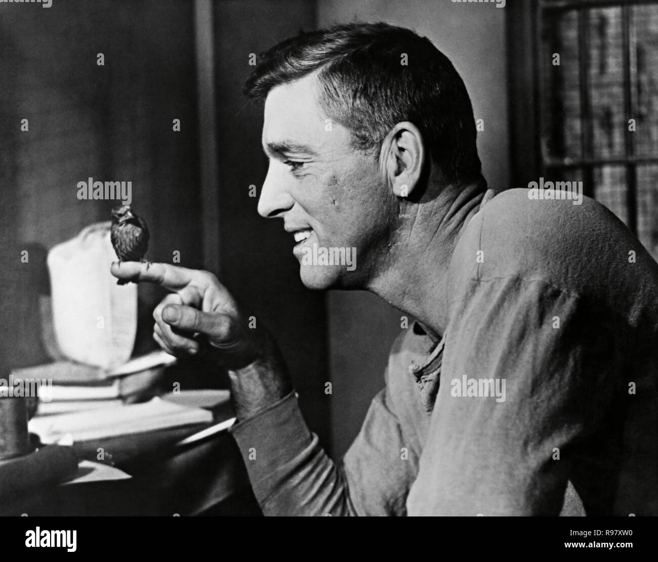 Original Film Titel: Birdman von Alcatraz. Englischer Titel: Birdman von Alcatraz. Jahr: 1962. Regie: John FRANKENHEIMER. Stars: Burt Lancaster. Quelle: UNITED ARTISTS/Album Stockfoto