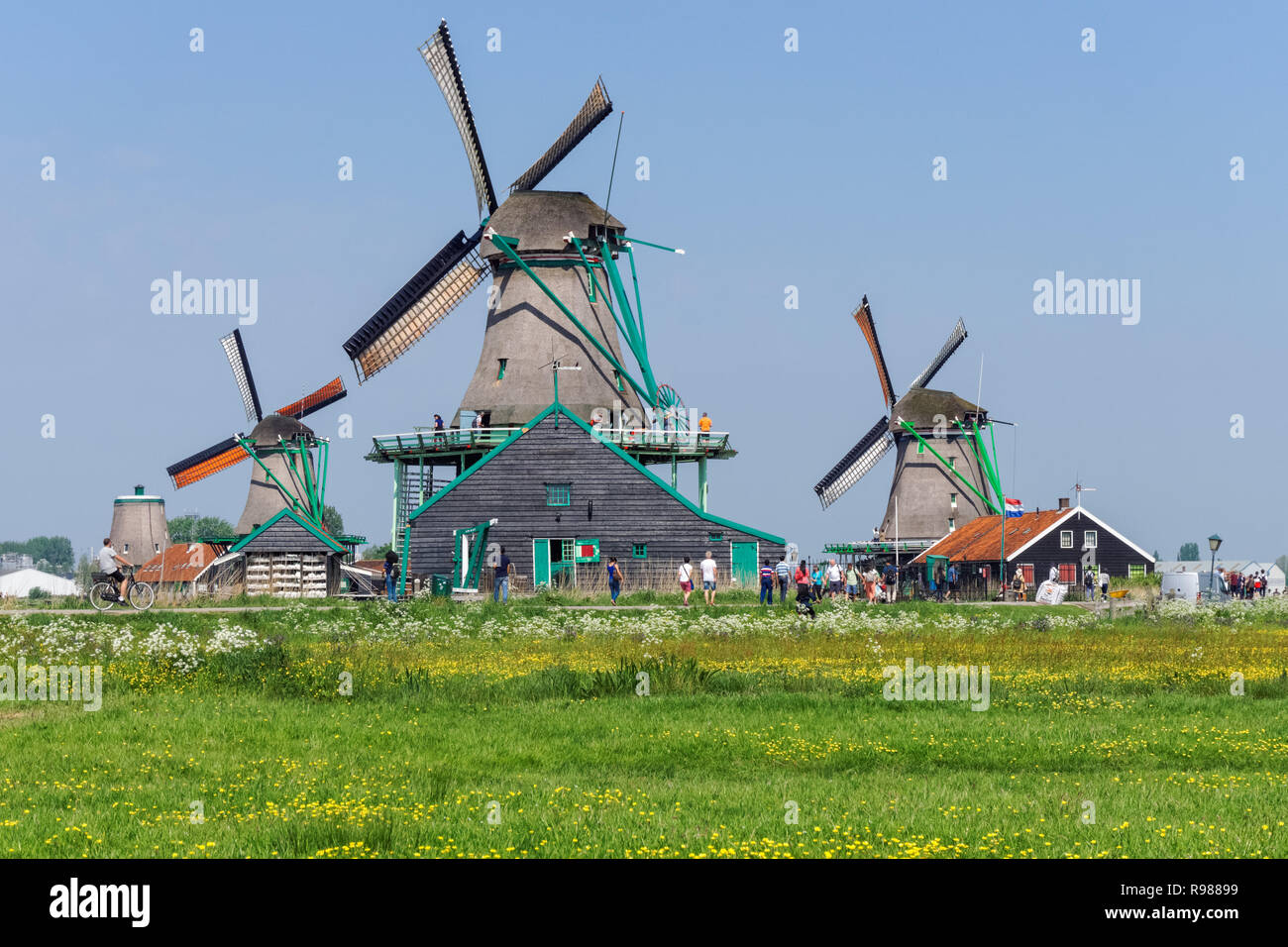 Holländische Windmühlen in Zaanse Schans in Niederlande Stockfoto