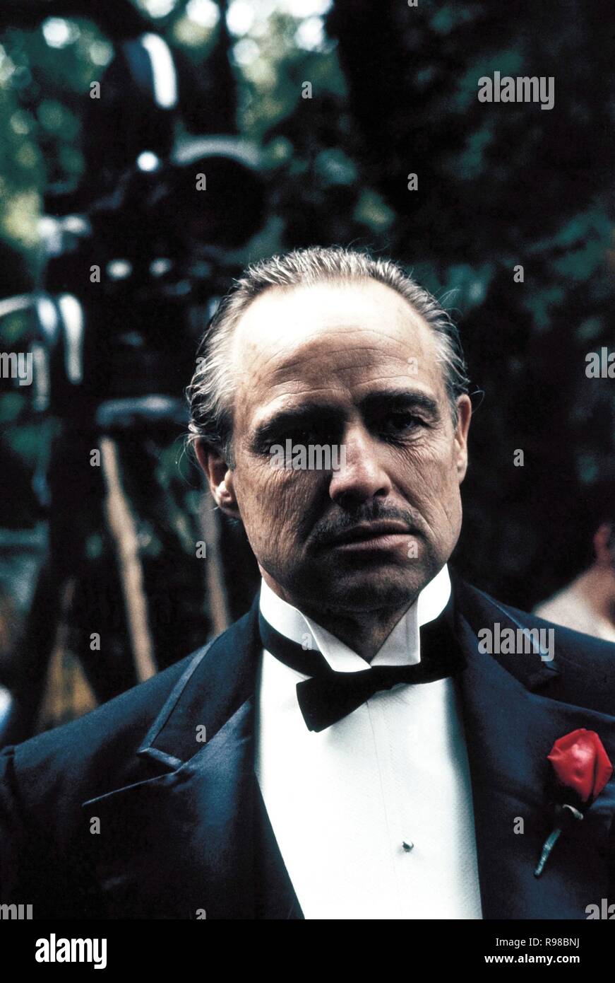 Der pate hochzeit Fotos und Bildmaterial in hoher Auflösung Alamy