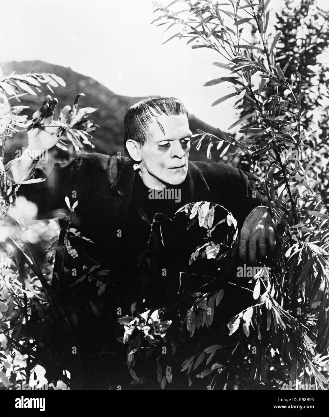 Boris karloff als das monster -Fotos und -Bildmaterial in hoher ...