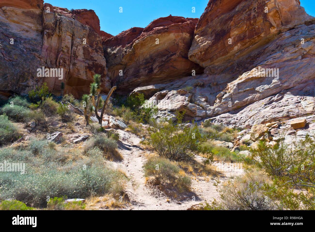Nevada, Mesquite, Gold Butte National Monument, Blackhawk Straße Vistas Stockfoto