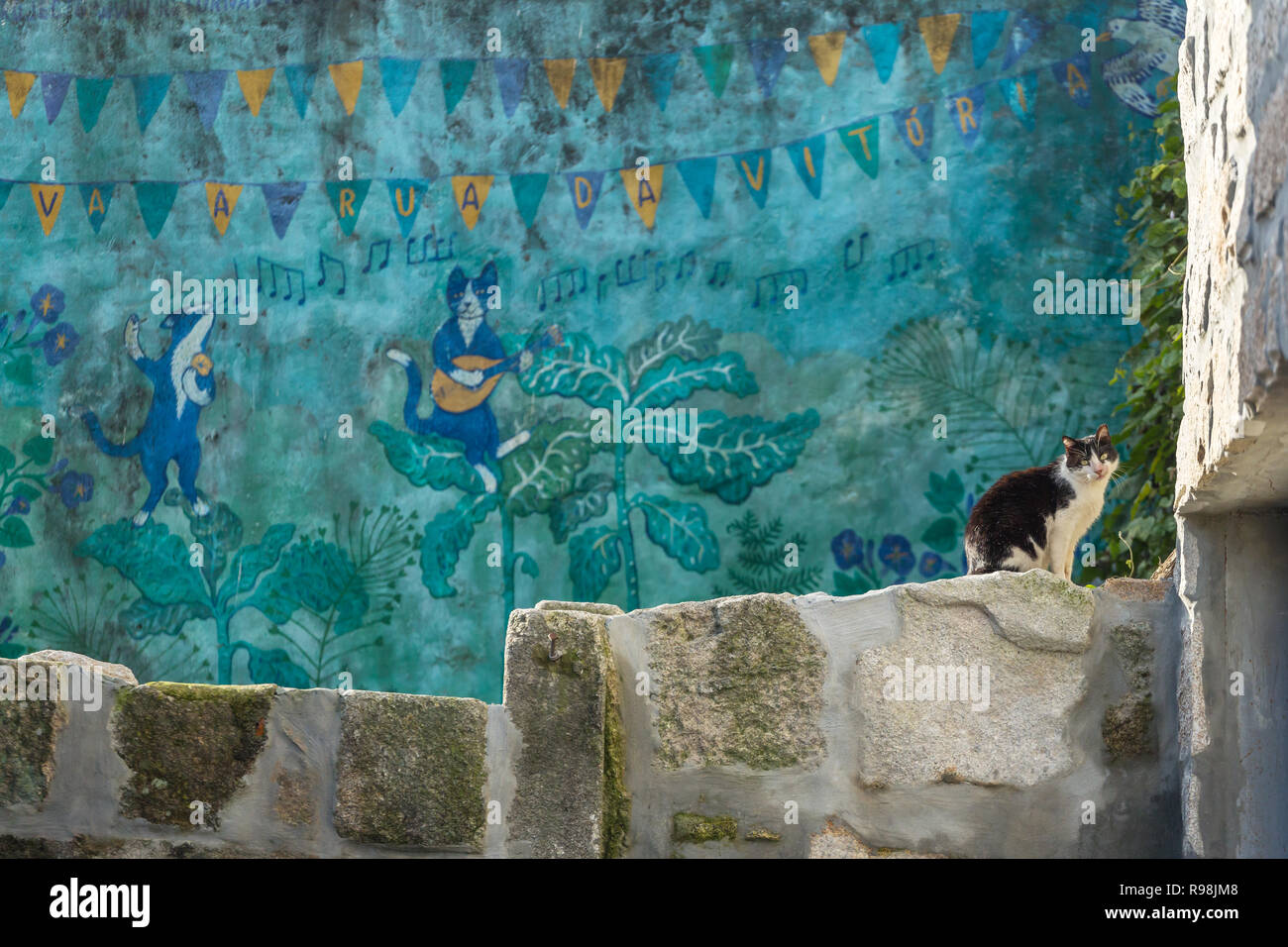 Porto, Portugal - Januar 19, 2018: Graffiti von Porto. Streunende Katze sitzt an der Wand mit einem portugiesischen street art Übersicht Katzen Musik zu spielen backgr Stockfoto