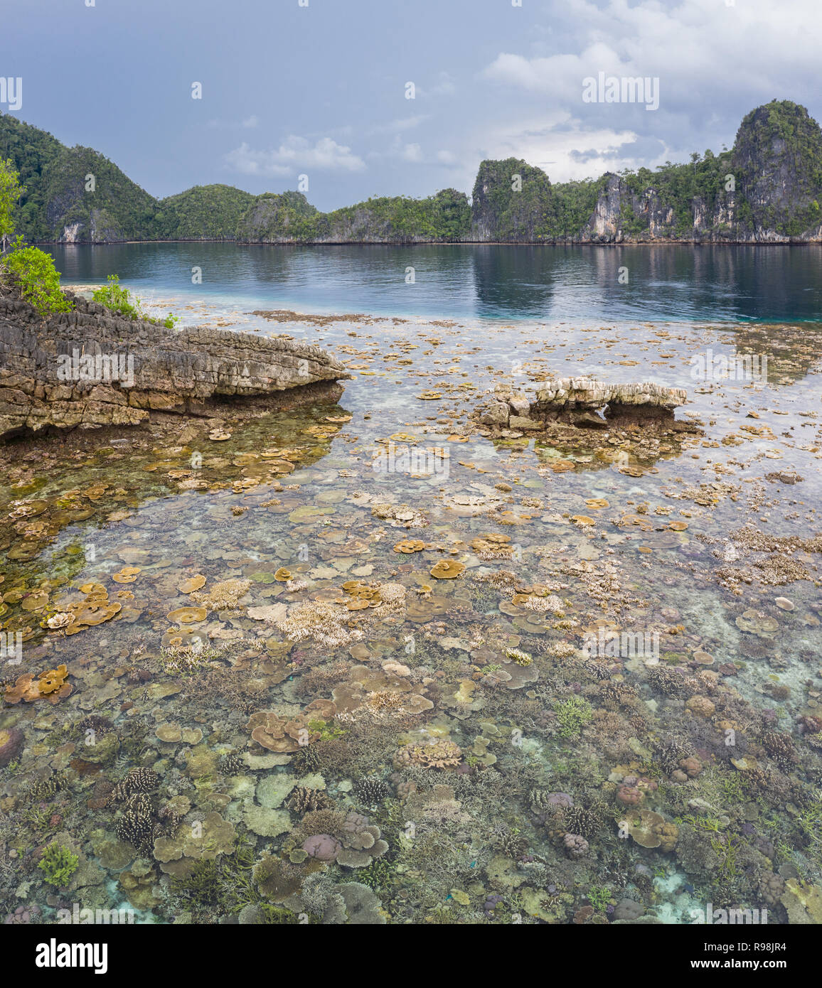 Remote Kalkstein Inseln in Raja Ampat, Indonesien, sind von gesunden Korallenriffen umgeben. Diese artenreichen Region ist für seine marine Artenvielfalt bekannt. Stockfoto