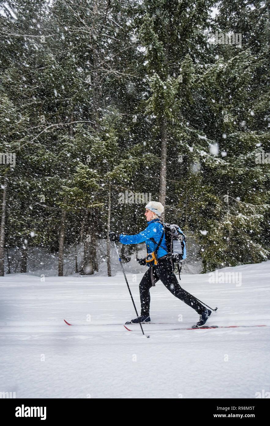 Frau Langlaufen in einem Schneesturm in Cabin Creek Snow Park, Washington, USA. Stockfoto