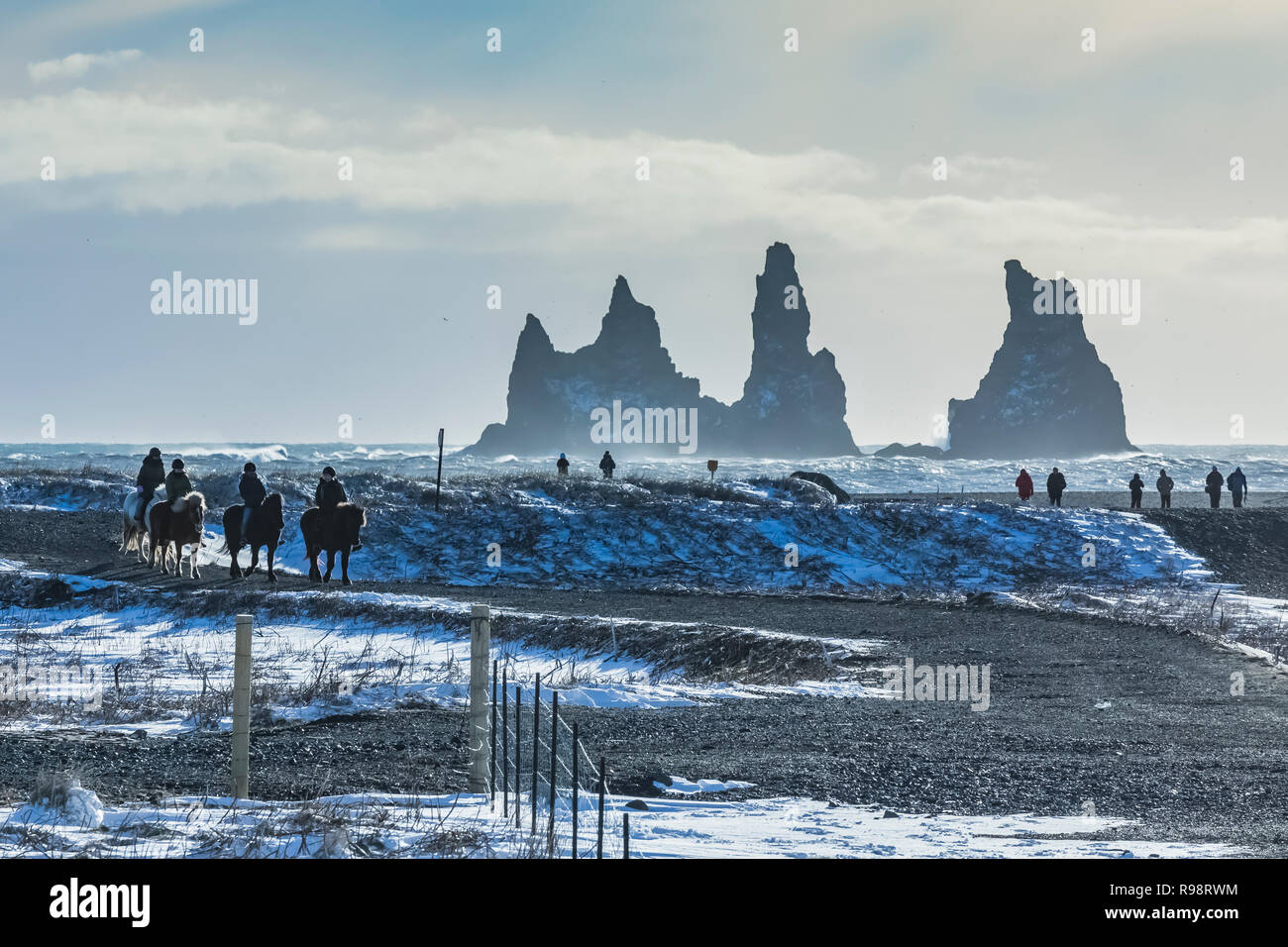 Reiten entlang der Reynisfjara schwarzer Sandstrand, im Dorf Vik, im Winter in Island [kein Modell Release; für redaktionelle Lizenzierung nur] Stockfoto