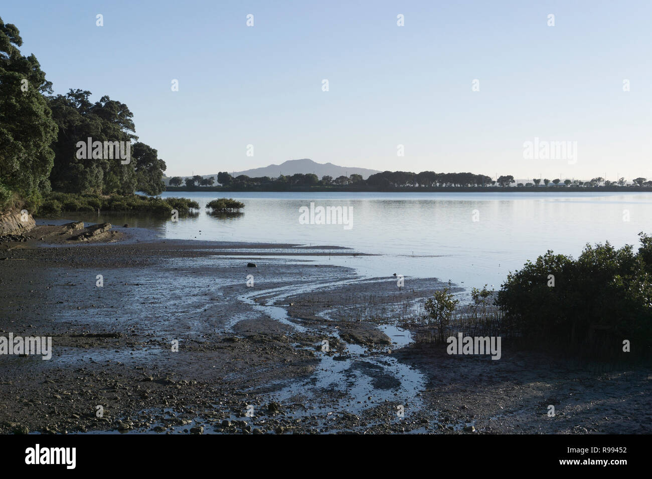 Auckland, Neuseeland. Stockfoto