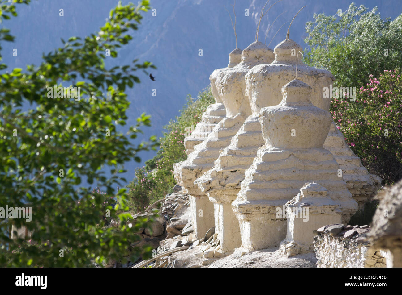Zanskar, Indien. Nachmittag Licht Stockfoto