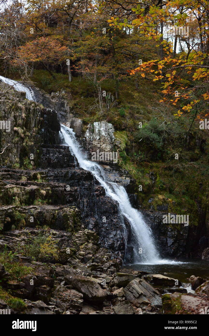 Pistyll Kain Wasserfälle, Wales Stockfoto