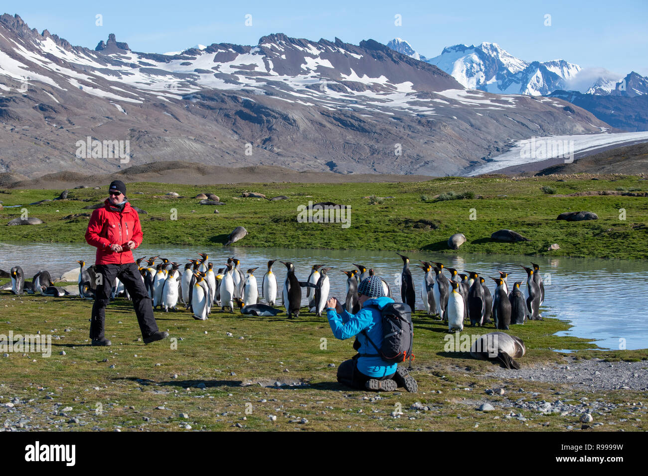 Vereinigtes Königreich, Südgeorgien, Fortuna Bay. Abenteuer Touristen erkunden Pfeifen Cove mit König Pinguine und Seehunde. Stockfoto