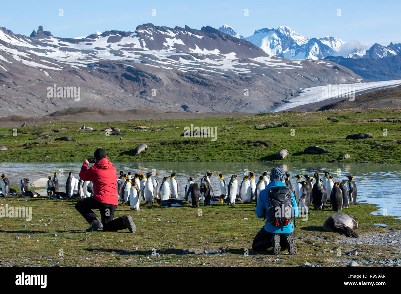 Vereinigtes Königreich, Südgeorgien, Fortuna Bay. Abenteuer Touristen erkunden Pfeifen Cove mit König Pinguine und Seehunde. Stockfoto