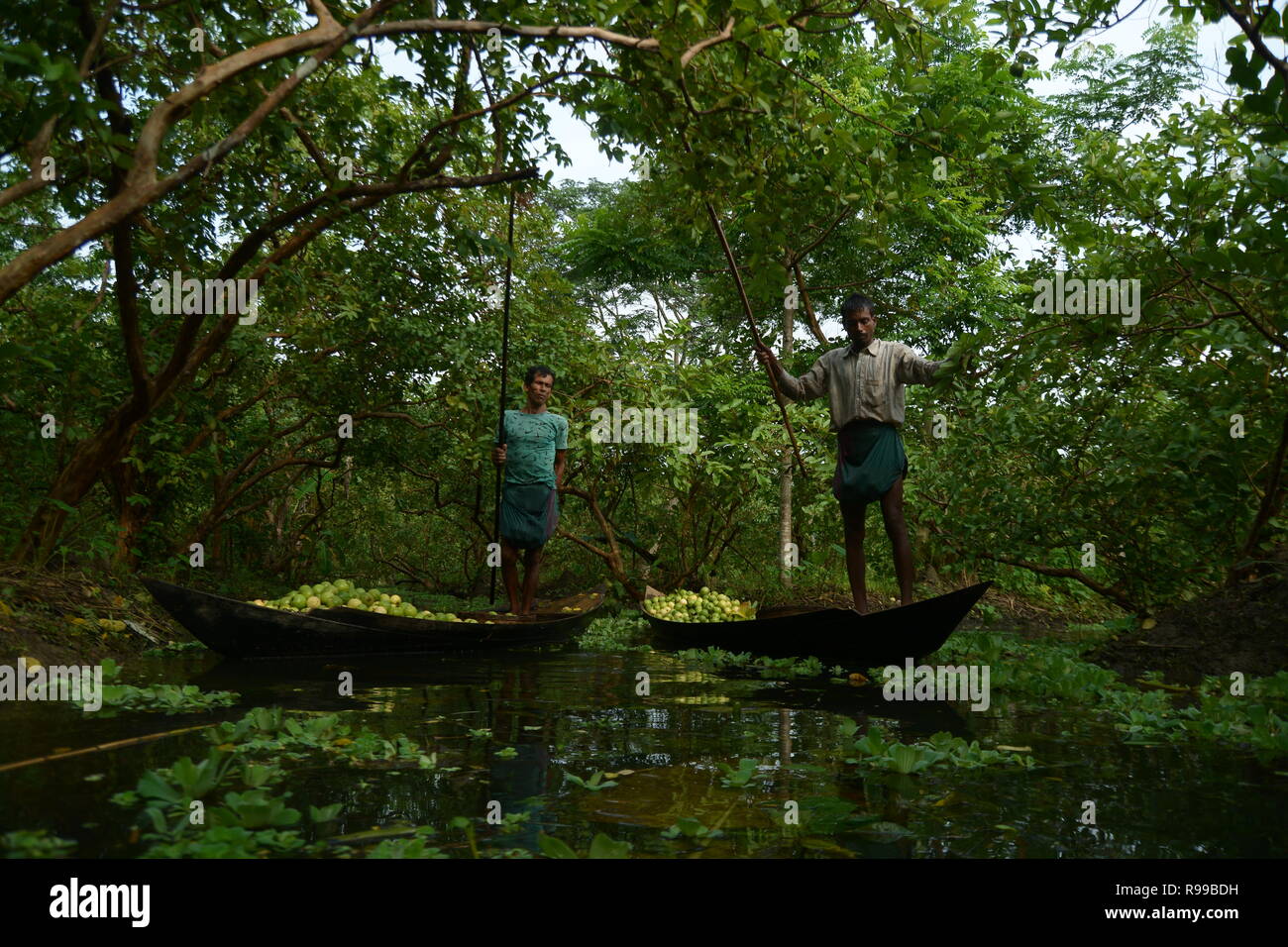 Schwimmender Markt, Barishal, Bangladesch Stockfoto