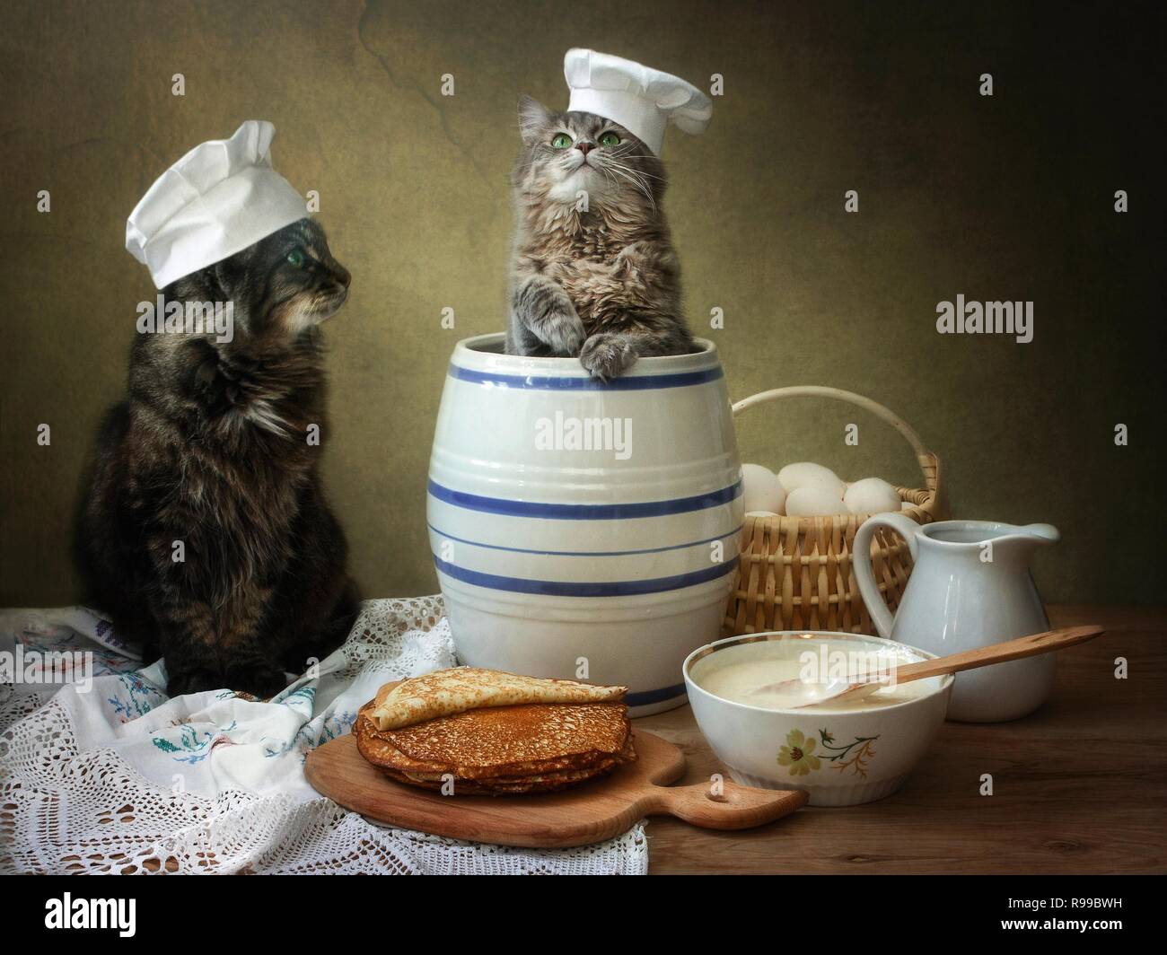 Stillleben mit Pfannkuchen und Katzen Stockfoto