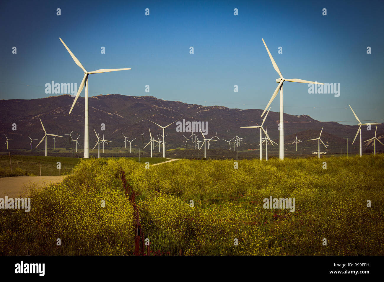 Generatoren mit Strom. Umweltfreundliche elektrische Energie oder Windenergie. Stockfoto
