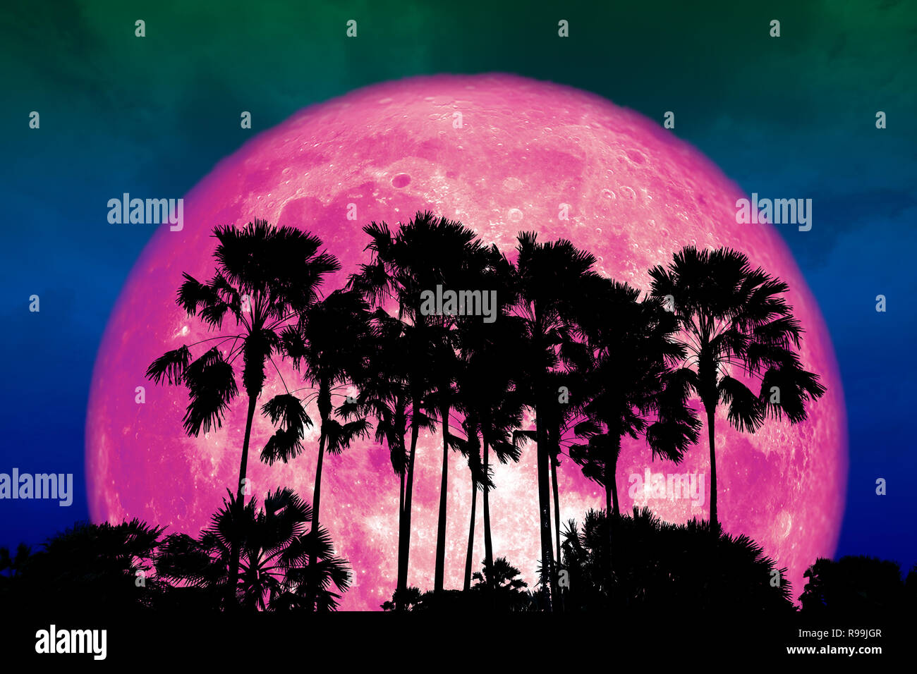 Super voller rosa Mond zurück Silhouette hohe Palme in dunklen Nachthimmel, Elemente dieses Bild von der NASA eingerichtet Stockfoto