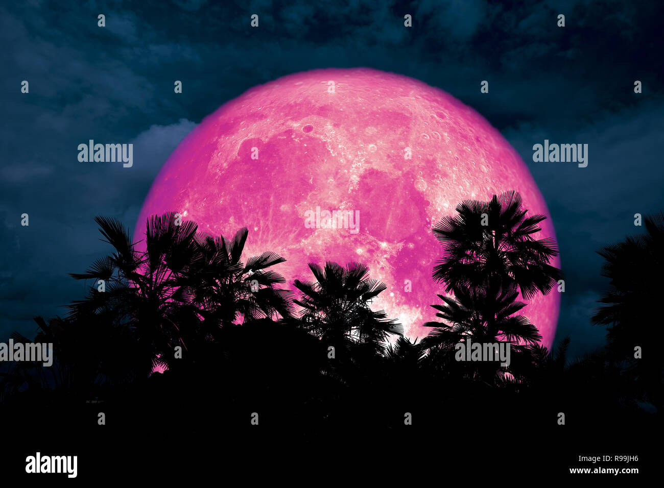 Super rosa Mond zurück silhouette Palm in dunkler Nacht Cloud, Elemente dieses Bild von der NASA eingerichtet Stockfoto
