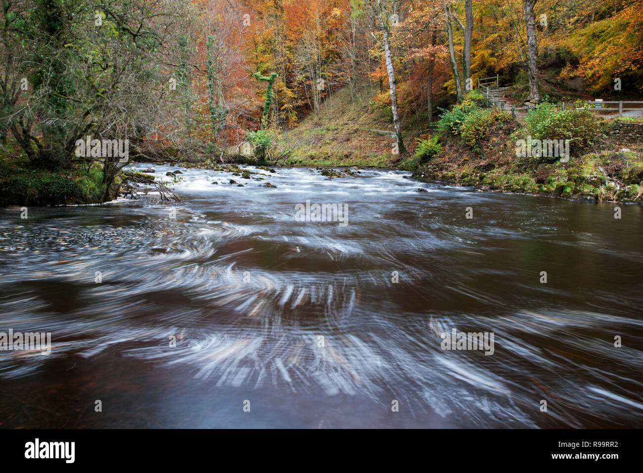 River Wharfe durch Strid Holz im Herbst in Bolton Abbey, North Yorkshire Dales Stockfoto