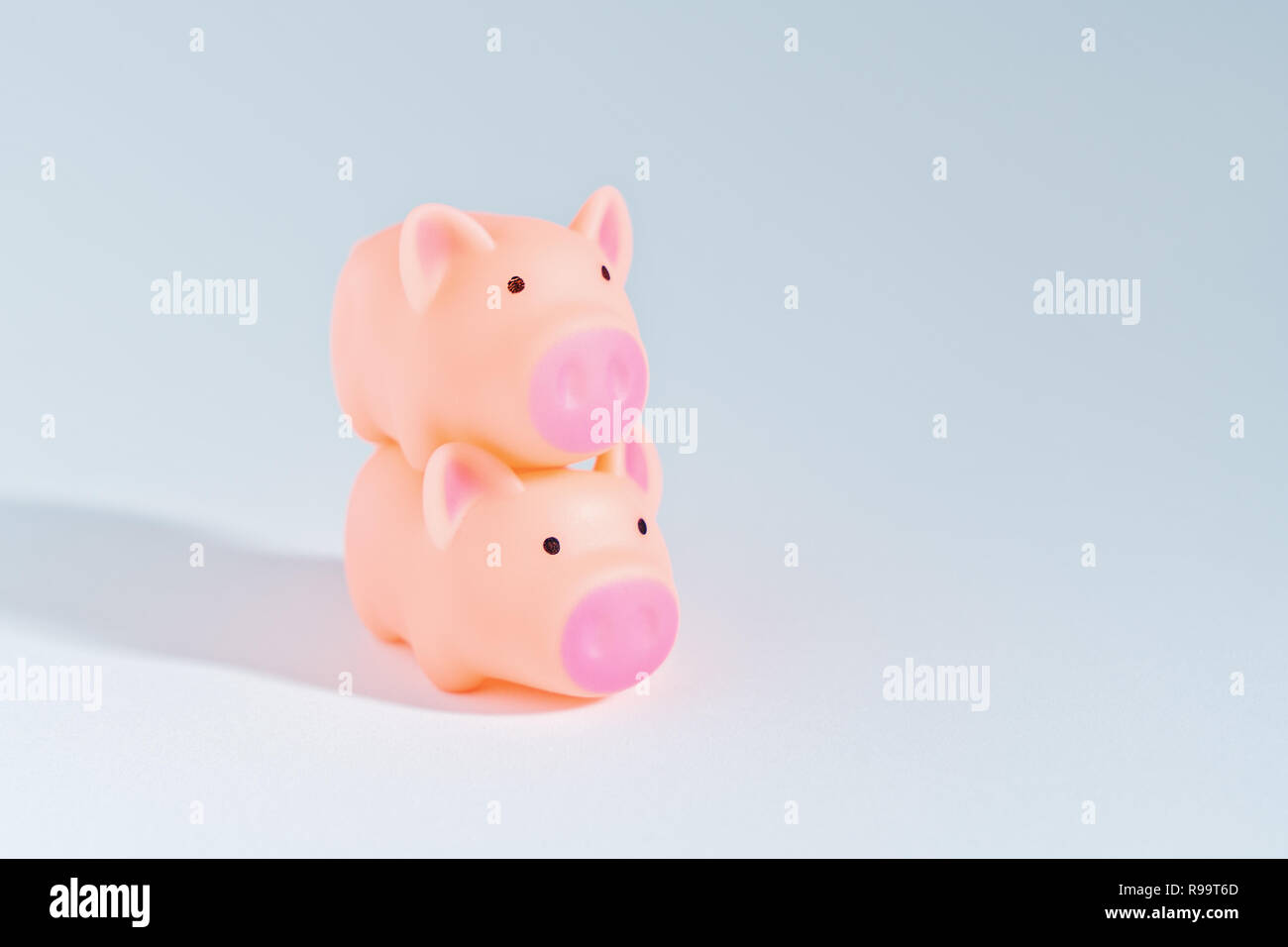 Zwei süße kleine Schweinchen auf weißem Hintergrund als Symbol von 2019. Happy Chinese New Year 2019 Symbol ist Schwein, Kopie Raum Stockfoto