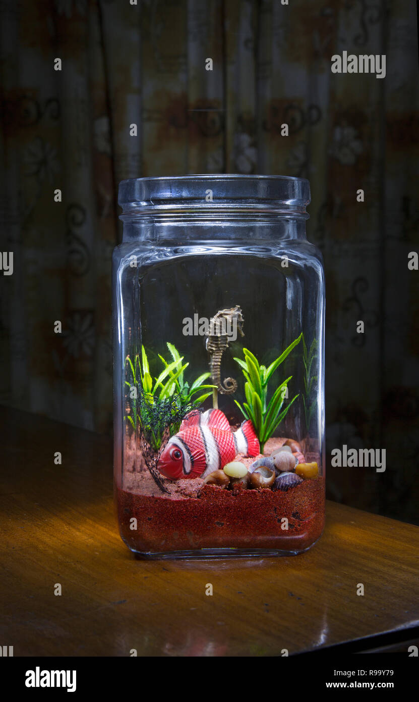 Mini Aquarium mit alten Gläsern gemacht Stockfotografie - Alamy