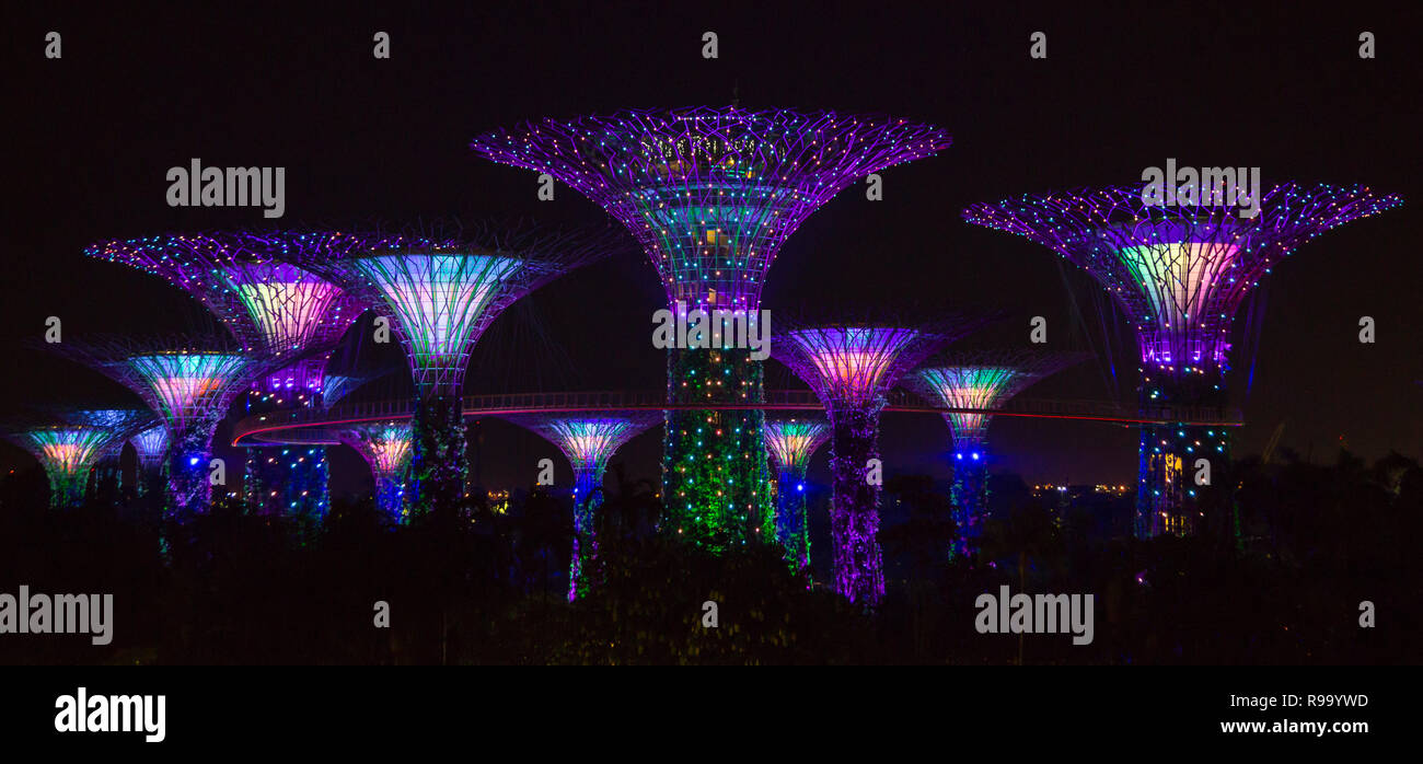 Super Tree Grove, Gärten an der Bucht zu Bucht vor, beleuchtete Metall Bäume bei Nacht in Singapur Stockfoto