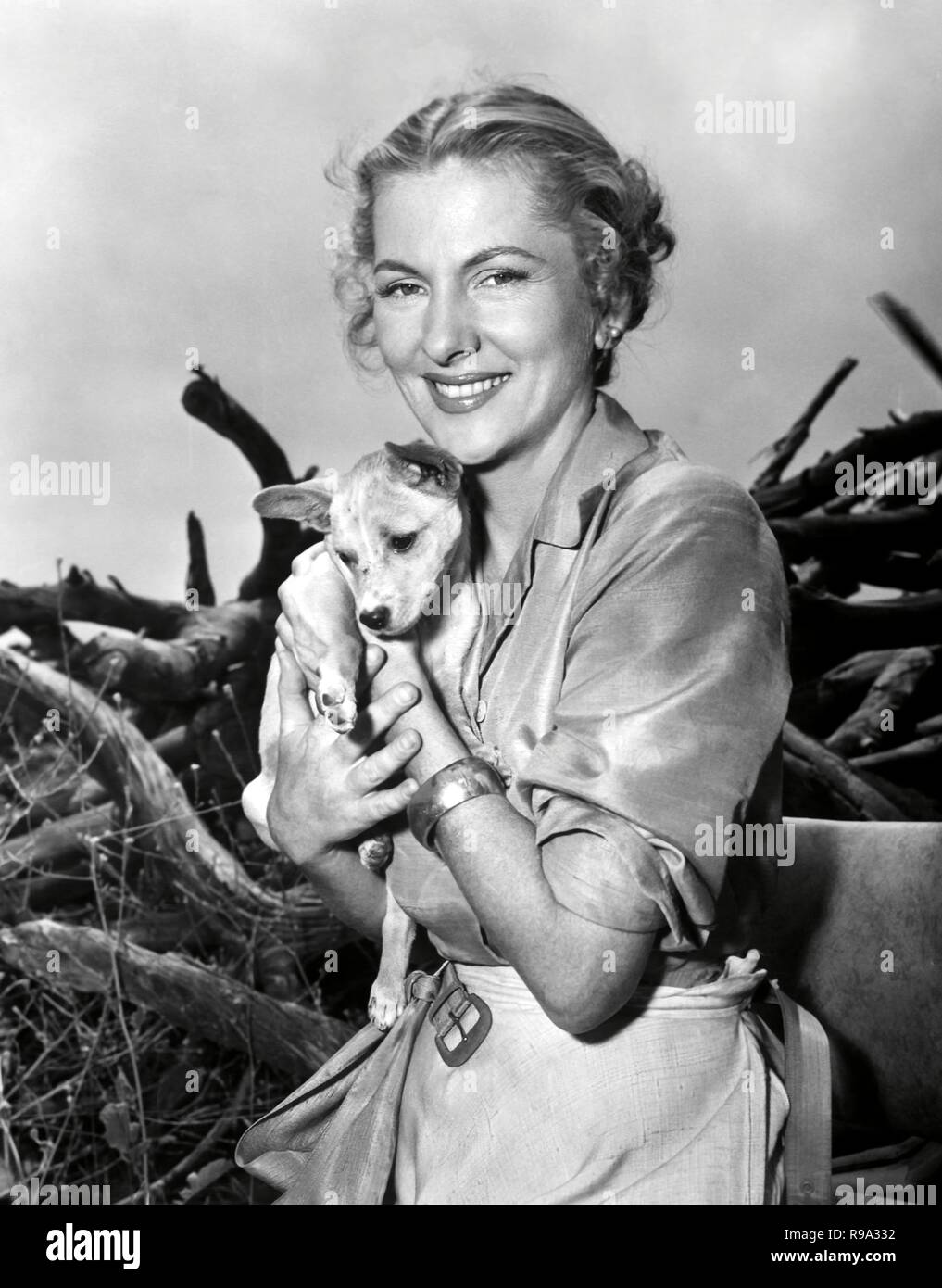 Original Film Titel: Flug nach Tanger. Englischer Titel: Flug nach Tanger. Jahr: 1953. Regie: CHARLES MARQUIS WARREN. Stars: Joan Fontaine. Quelle: Paramount Pictures/Album Stockfoto