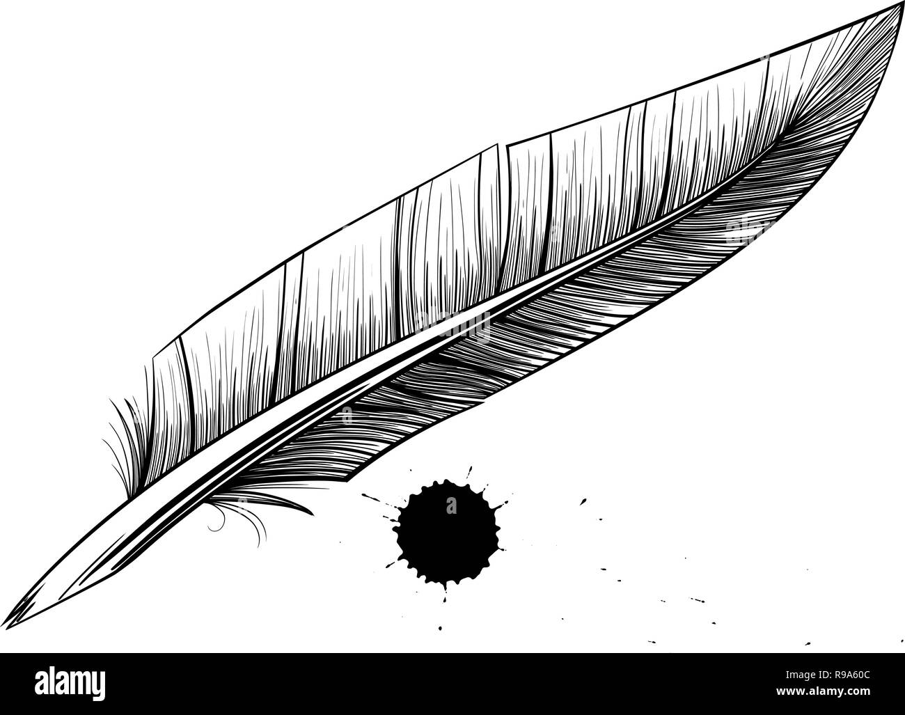 Feather pen Kladde Stock Vektor