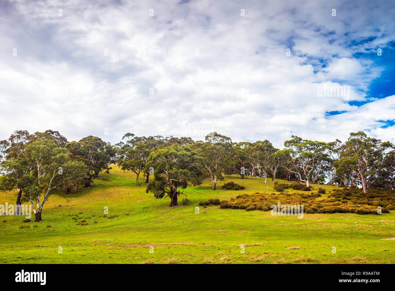 Typische Adelaide Hills Landschaft an einem Tag, ländliche South Australia Stockfoto
