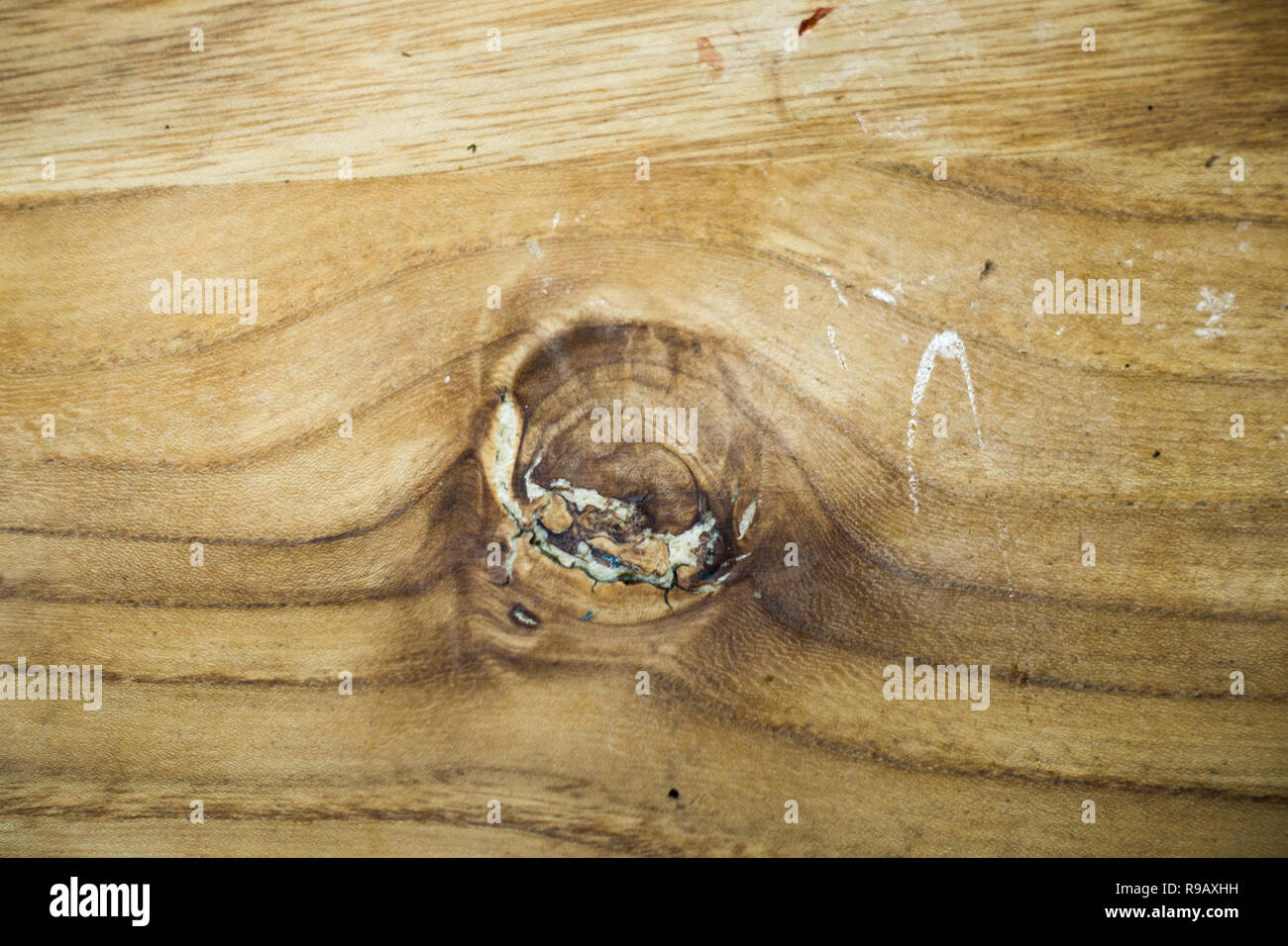 Holz- Hintergrund aus Eiche mit gnarl in einer Tabelle Stockfoto