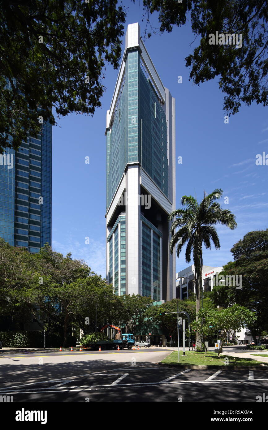 Rahmen durch die Bäume auf die Oberseite, Architektur von Klapseter Boutique Hotel mit 15 Hoe Chiang Road, Singapur entfernt. Stockfoto