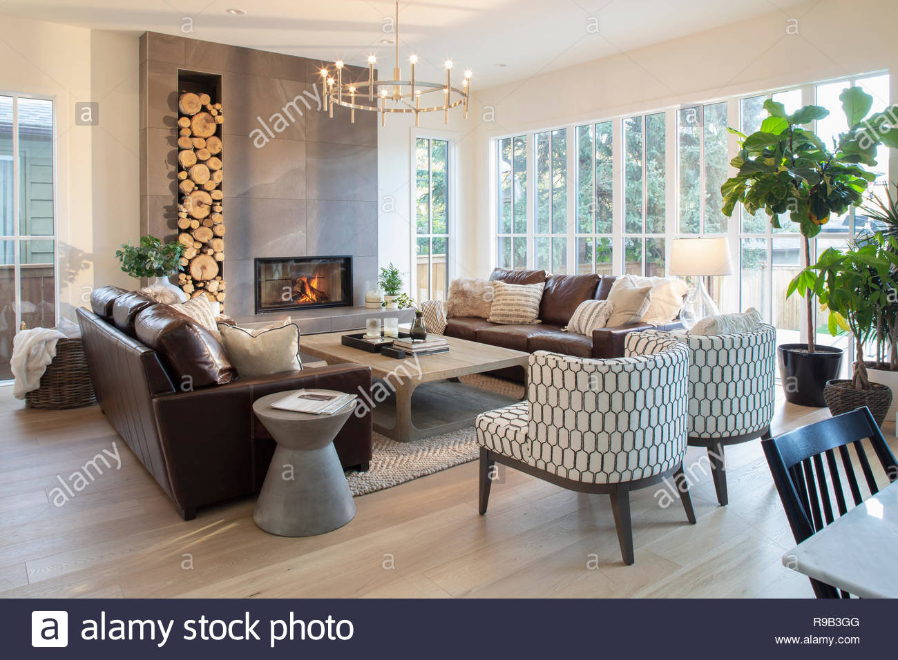 Home Showcase interior Wohnzimmer mit Kamin Stockfoto
