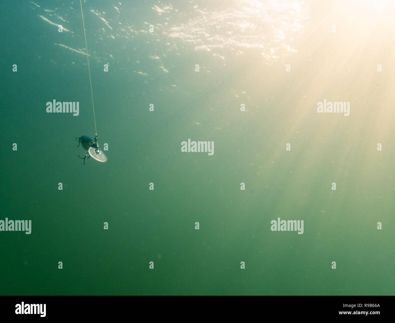 Minnow Fischen lure Schwimmen unter Wasser, Sonnenstrahlen und Wasseroberfläche im Hintergrund. Stockfoto