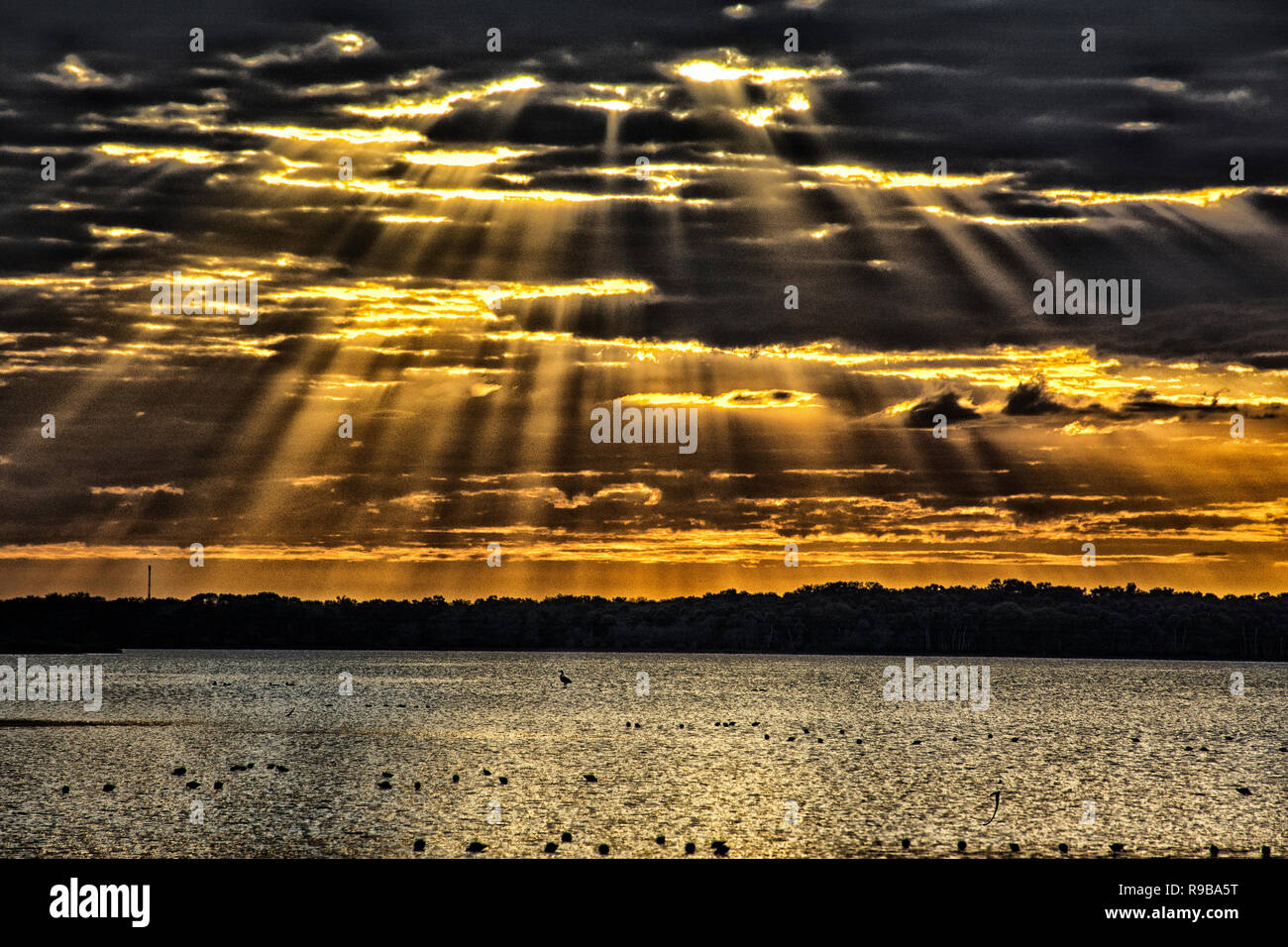 Sonnenstrahlen über Myakka See Stockfoto