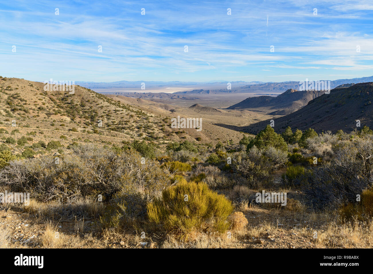 Ein Blick auf die Sarcobatus Wohnungen und Grapevine Mountains in der Wüste in der Nähe von Death Valley, USA Stockfoto