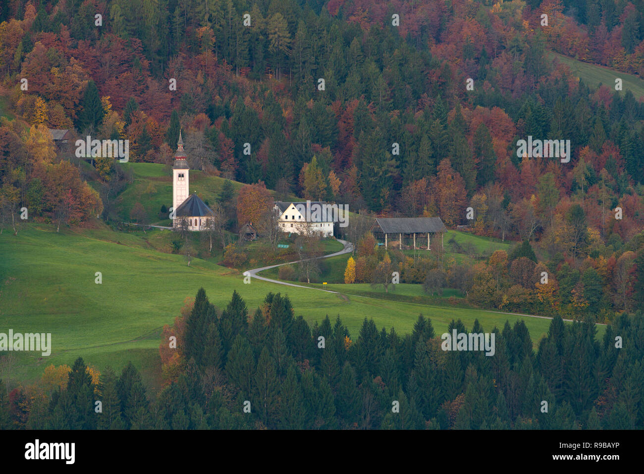 Kirchen in einer kleinen Stadt von Slowenien in der Nähe von Ljubljana im Herbst. Stockfoto