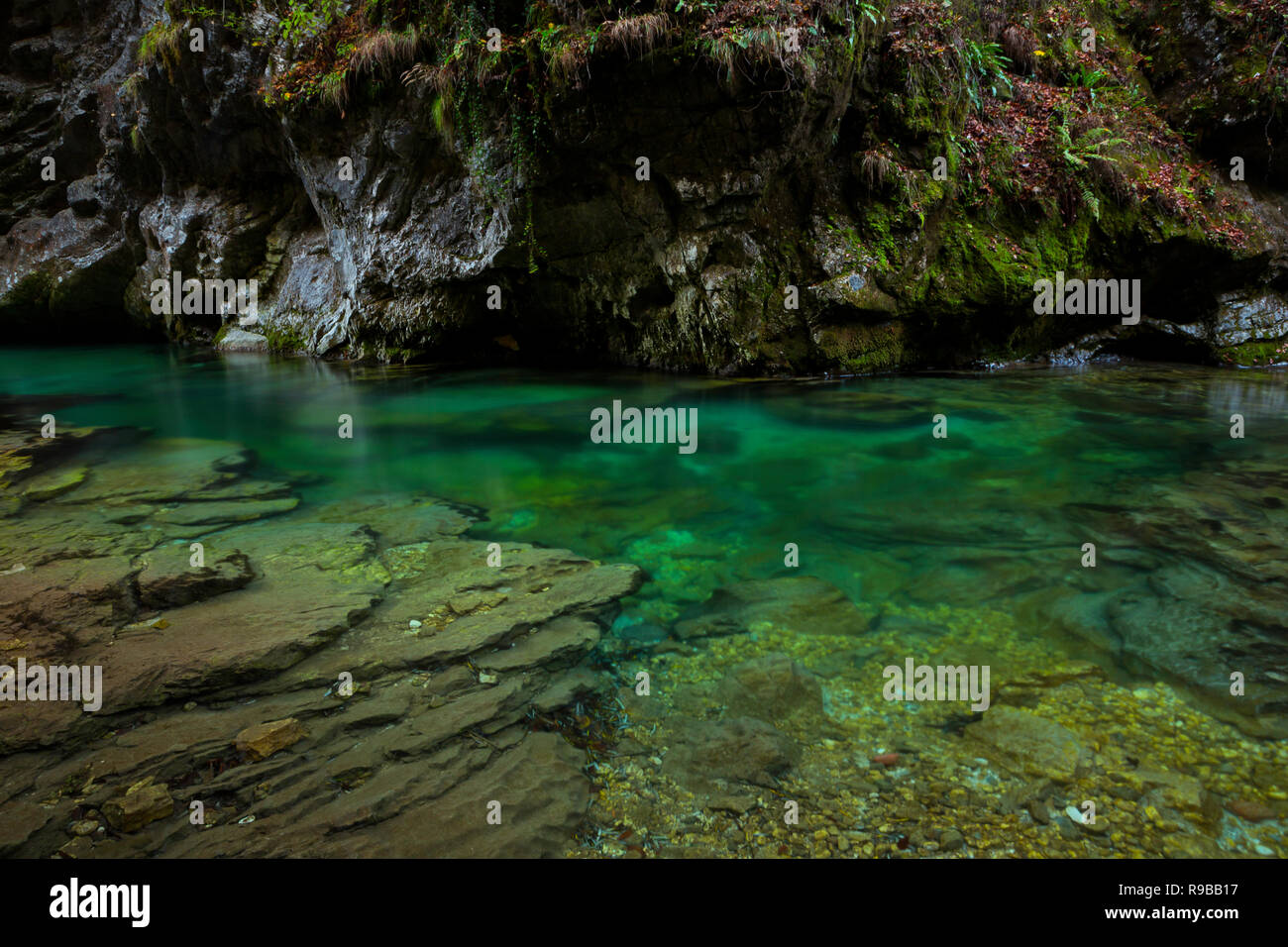 Ein Loch in der Schlucht Vintgar im Triglav Nationalpark, Slowenien. Stockfoto