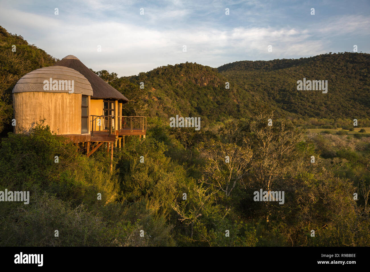 Nyathi Rest Camp, Addo Elephant National Park, Eastern Cape, Südafrika, Stockfoto
