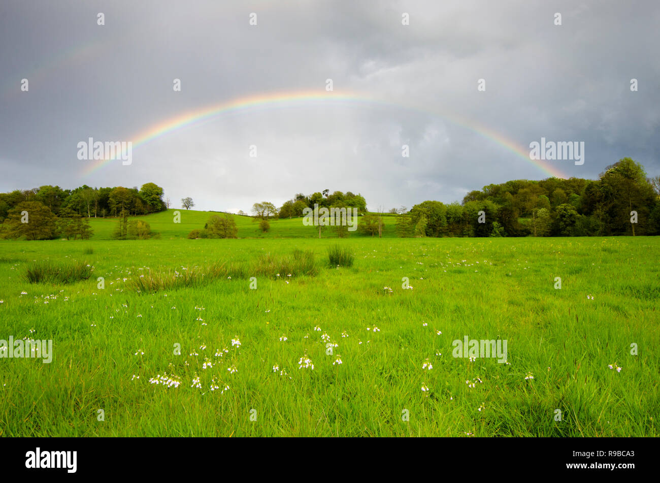 Voller Regenbogen über Blumen Wiese und Bäume in der Nähe Midhurst, die South Downs National Park, Sussex, UK Stockfoto