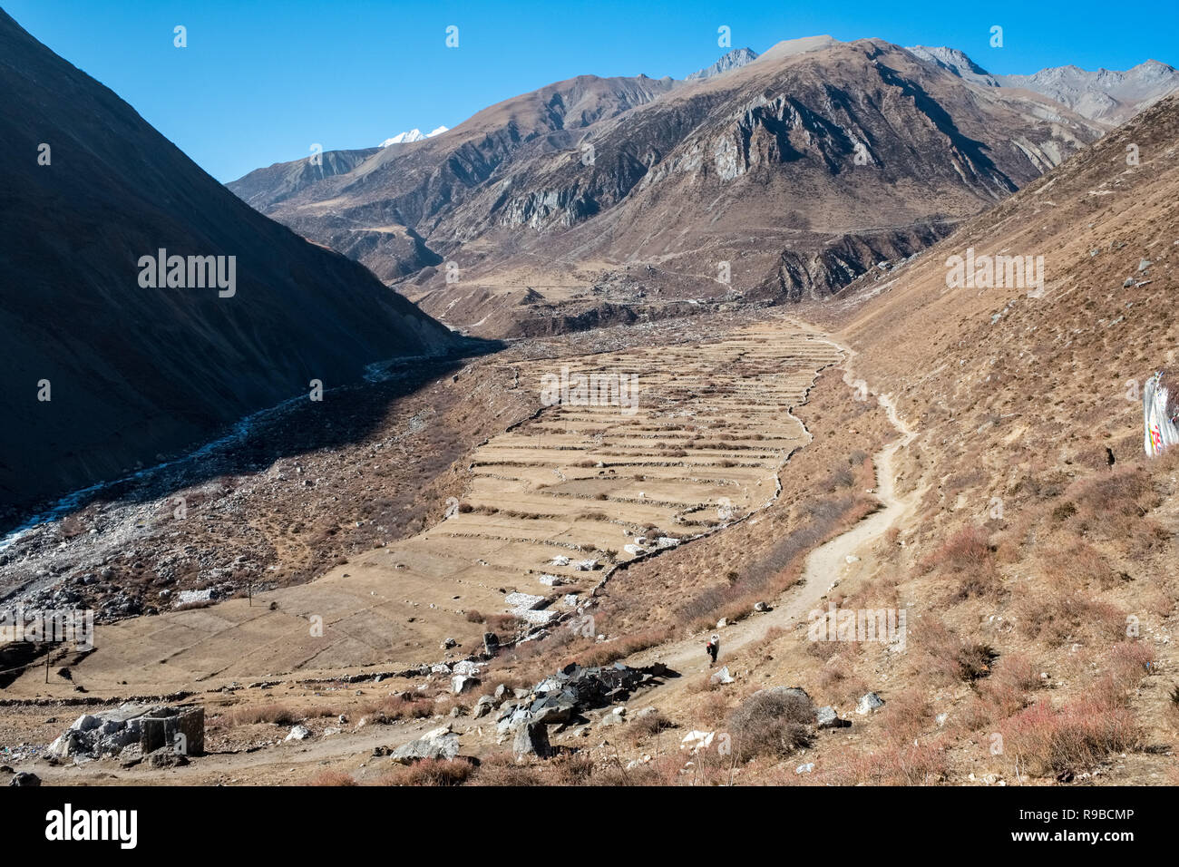 Der Weg von Samdo zu Larkya pass auf den Manaslu Circuit trek, Nepal Himalaya Stockfoto