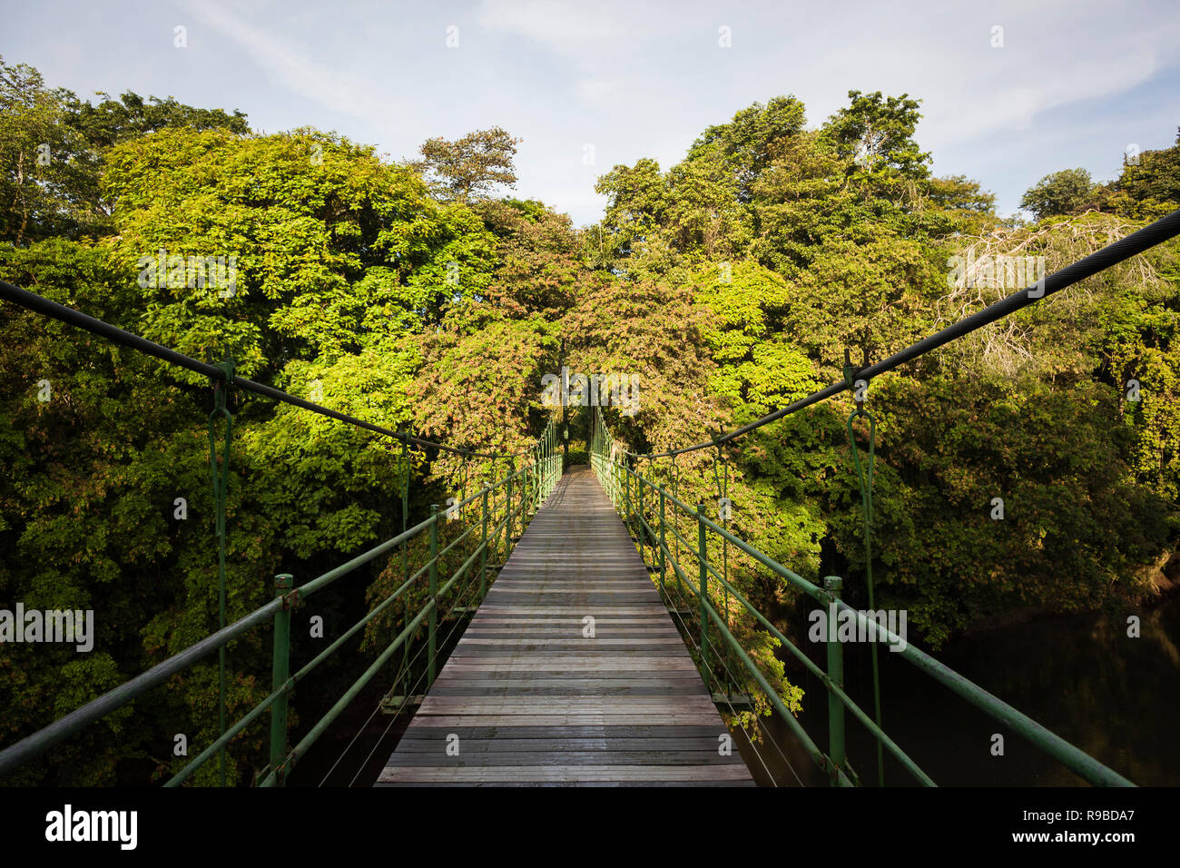 Brücke über Puerto Viejo Fluss. La Selva Biologische Station. Costa Rica. Stockfoto