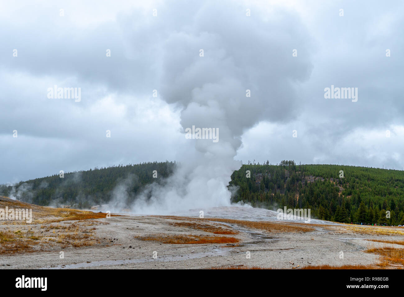 Old Faithful Geiser Yellowstone National Park, Wyoming, USA Stockfoto