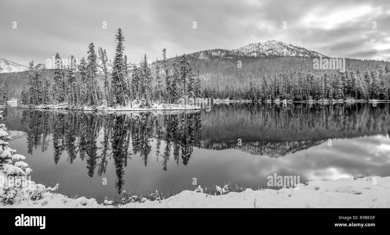 Besuch der Yellowstone National Park, Wyoming, USA im Oktober Stockfoto