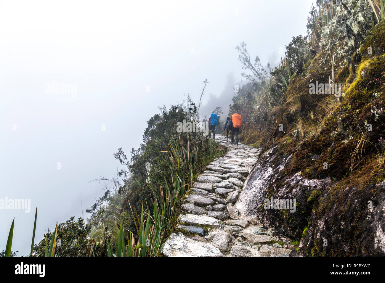 Menschen, die auf dem Inka-Pfad nach Machu Picchu bei nebligen Wetterbedingungen, im Heiligen Tal, Peru wandern Stockfoto