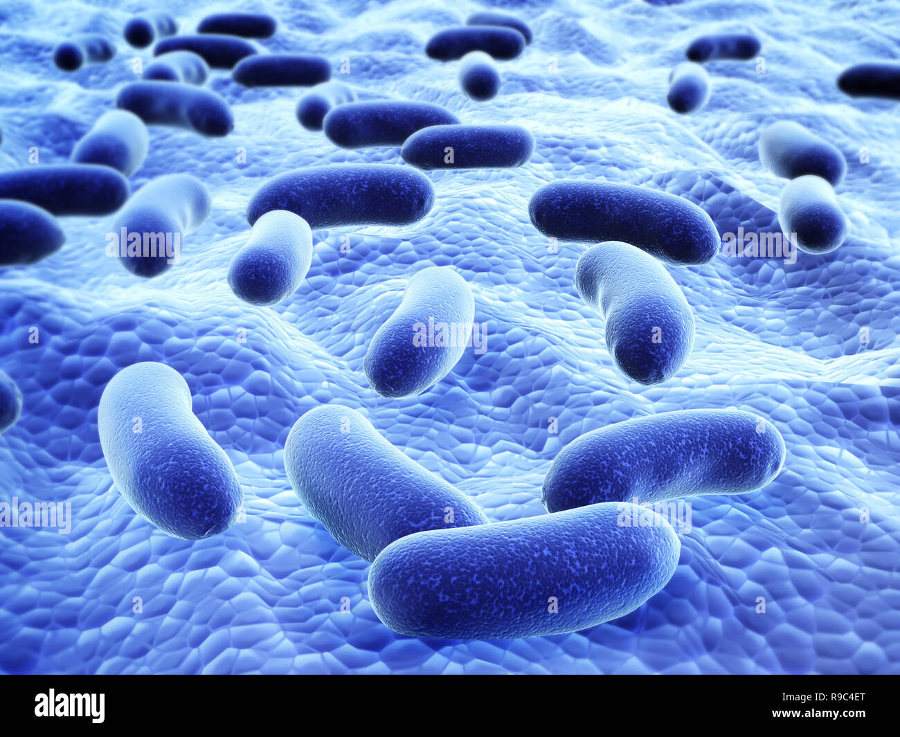 Kolonie von pathogenen Viren. Auf unscharfen Hintergrund der blauen Farbe. 3D-Rendering Stockfoto