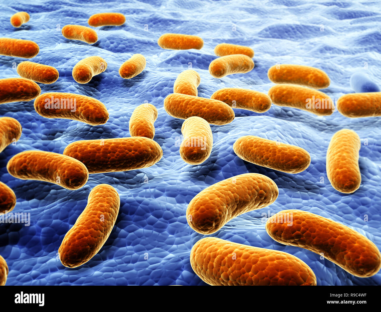 Kolonie von pathogenen Viren. Auf unscharfen Hintergrund der blauen Farbe. 3D-Rendering Stockfoto